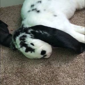 Meet your Posher, Grant